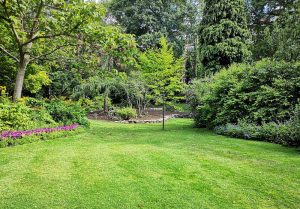 Optimiser l'expérience du jardin à Caumont-sur-Durance
